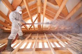 Best Insulation Removal  in Taylorsville, KY